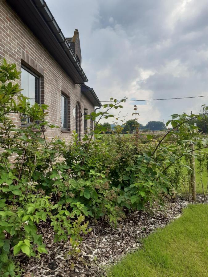 Vakantiehuis Zoetendaal Reningelst Exterior photo